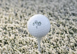 Lynx Golf Junior Ai Hi Fly Golf Balls 7 Lynx Golf Junior Ai Hi Fly Golf Balls -Golf Accessories Sales Store IMG 3906 Copy