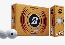 Bridgestone E6 2019 Model Golf Balls - 1 Dozen Box New