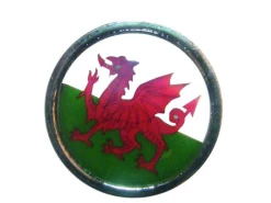 Nations Flat Ball Marker -Golf Accessories Sales Store IMG 6114